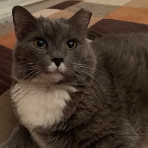 Meet your Posher, Maria